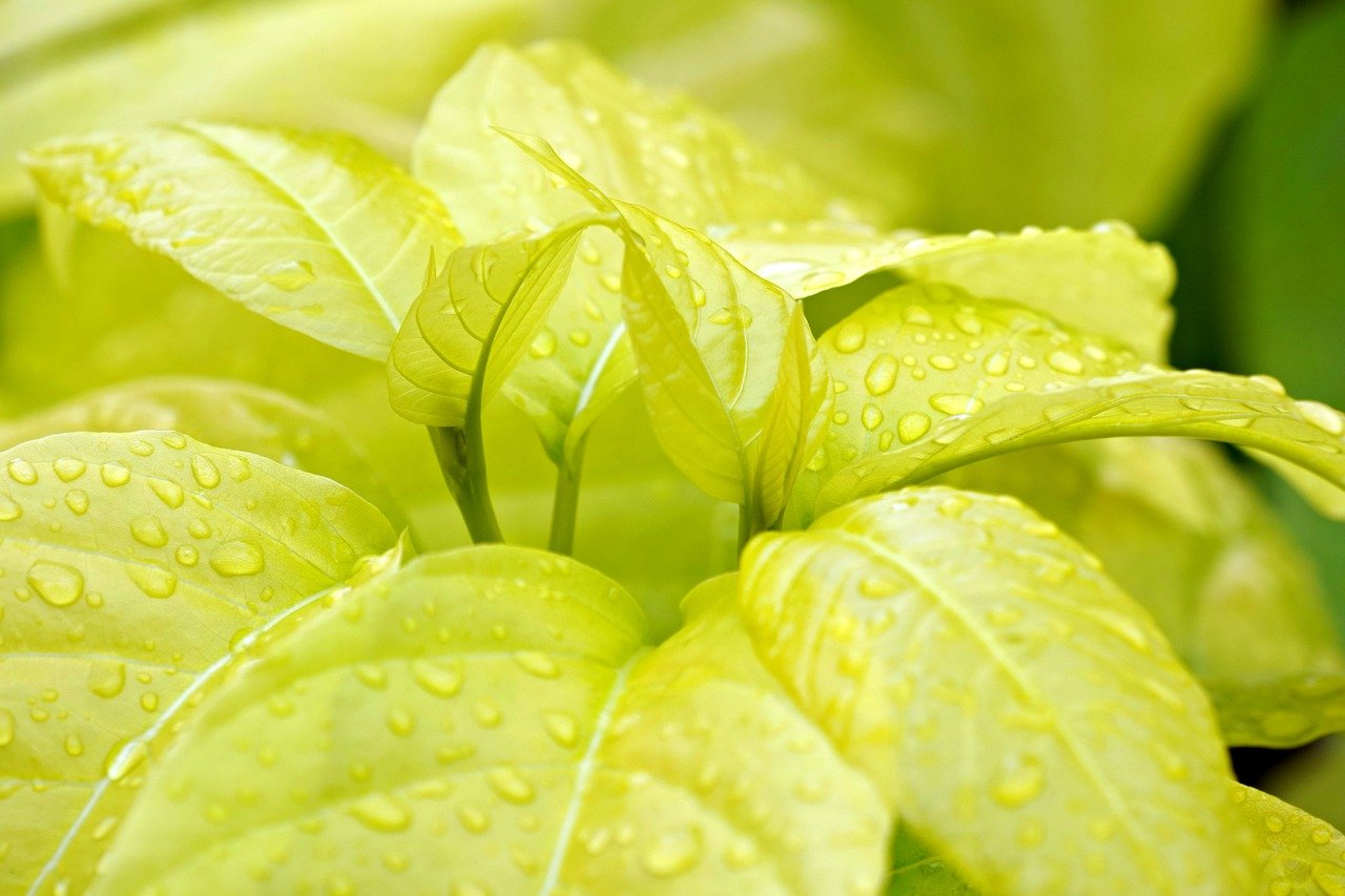 자연기술센터 이미지 02